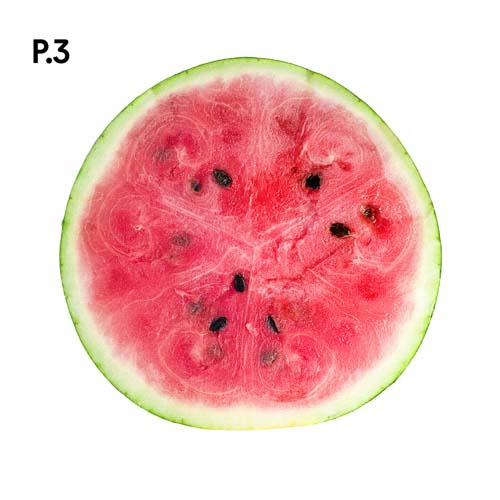 Přírodopis_motiv3.jpg Přírodopis_motiv3.jpg